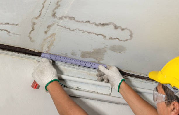 Reliable Water Damage contractor in Hebron, IN by Water Damage Irwin